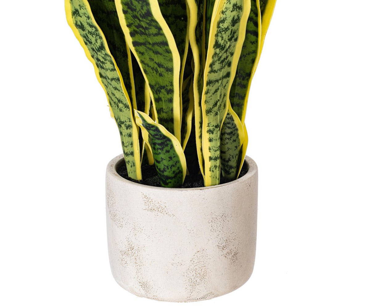 Vickerman 28" Artificial Green Snake Plant in 6 x 6 x 6" Gray Cement Pot. Green plant with yellow edges.