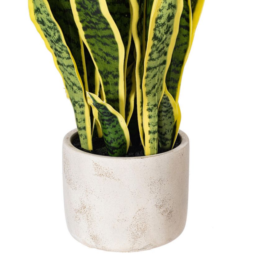 Vickerman 28" Artificial Green Snake Plant in 6 x 6 x 6" Gray Cement Pot. Green plant with yellow edges.