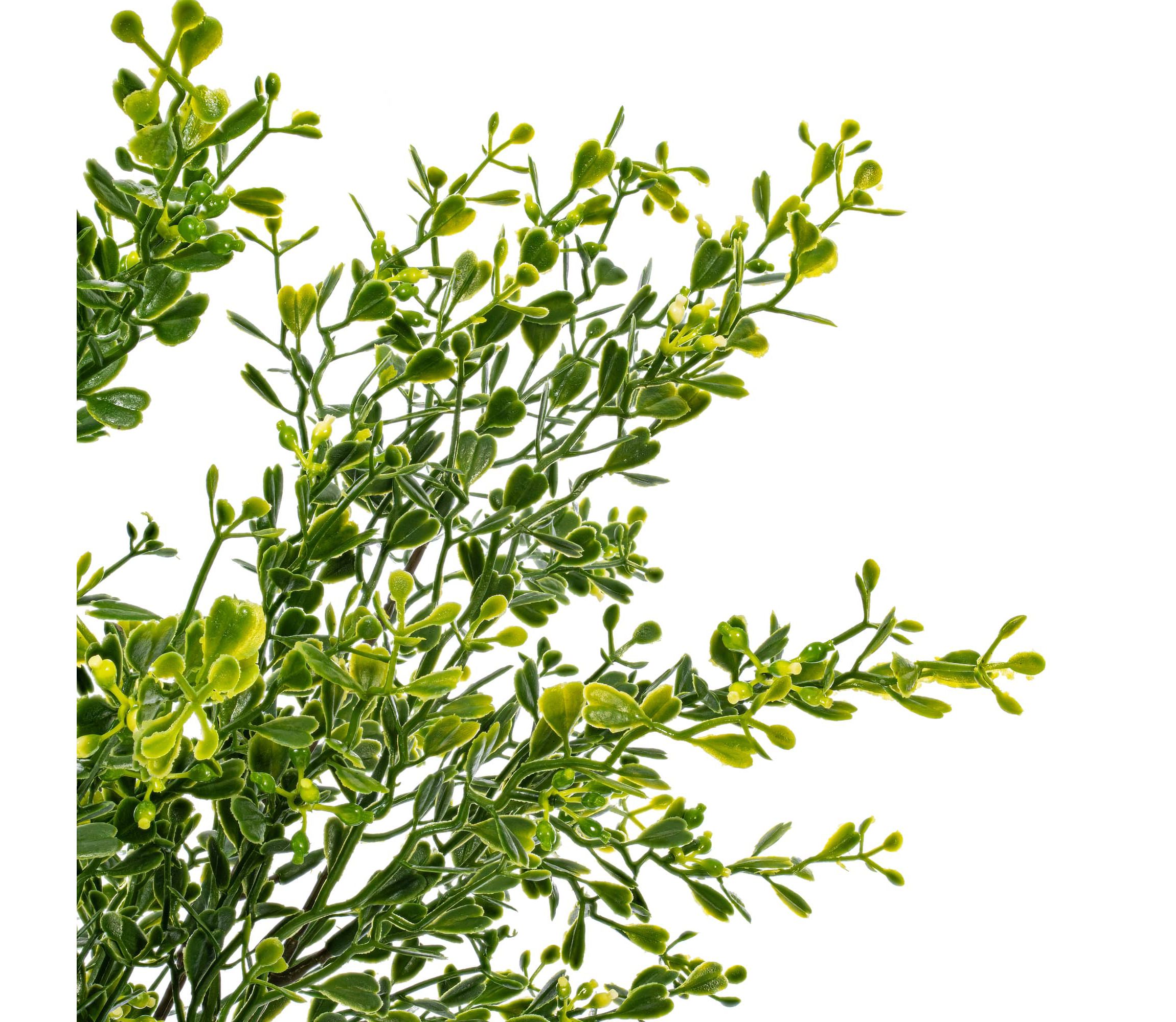 Vickerman 22.5" Artificial Green UV Coated Boxwood Bush.