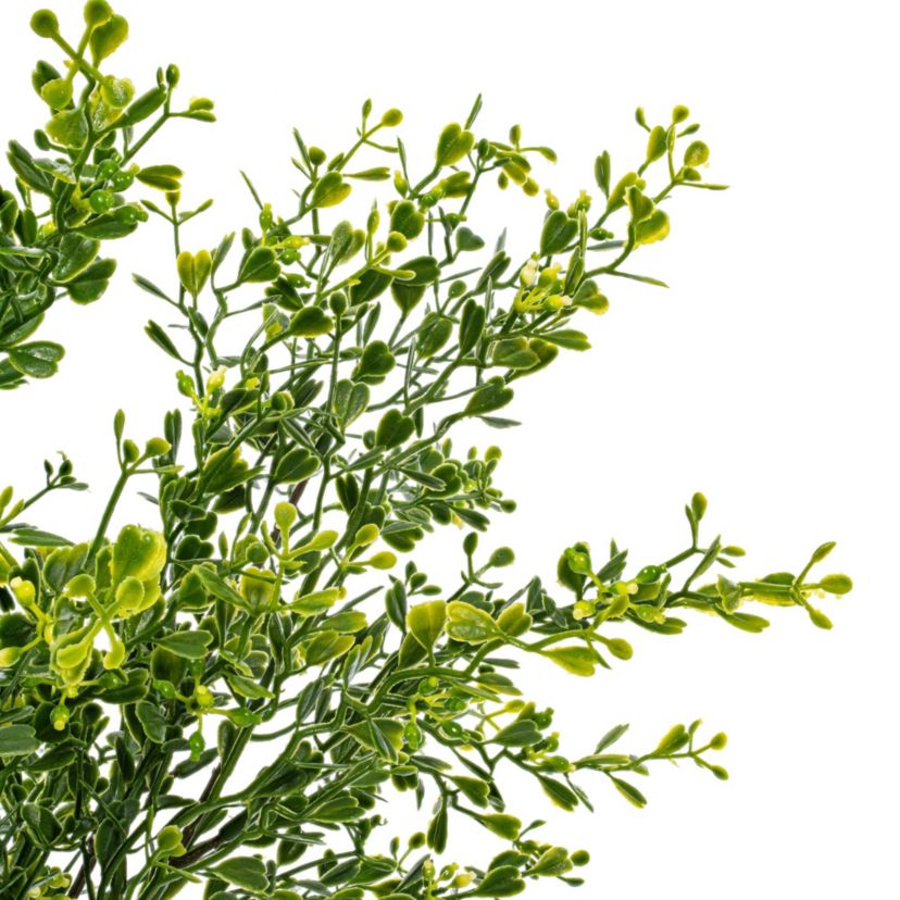 Vickerman 22.5" Artificial Green UV Coated Boxwood Bush.