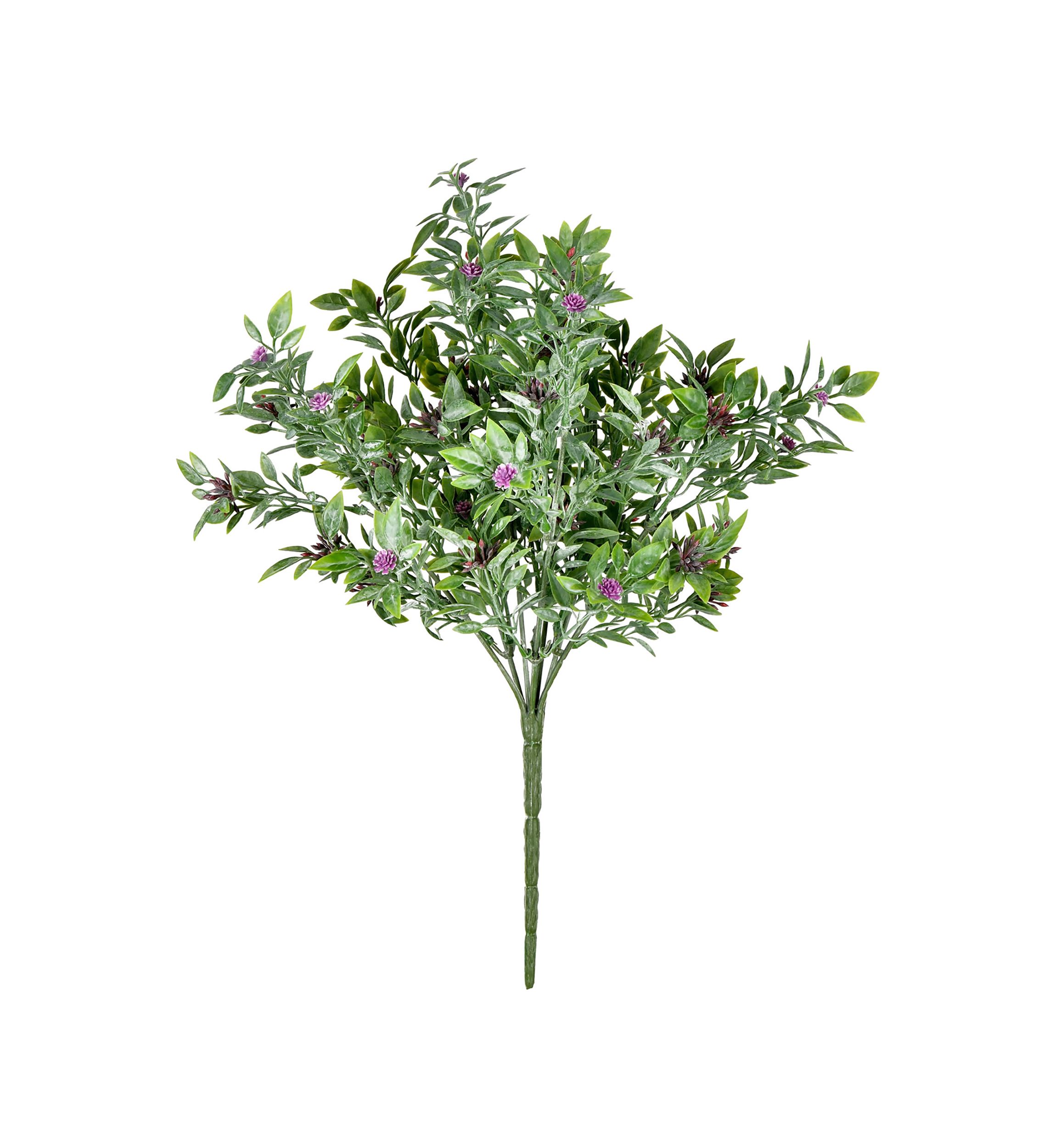 Purple Wildflower Bush