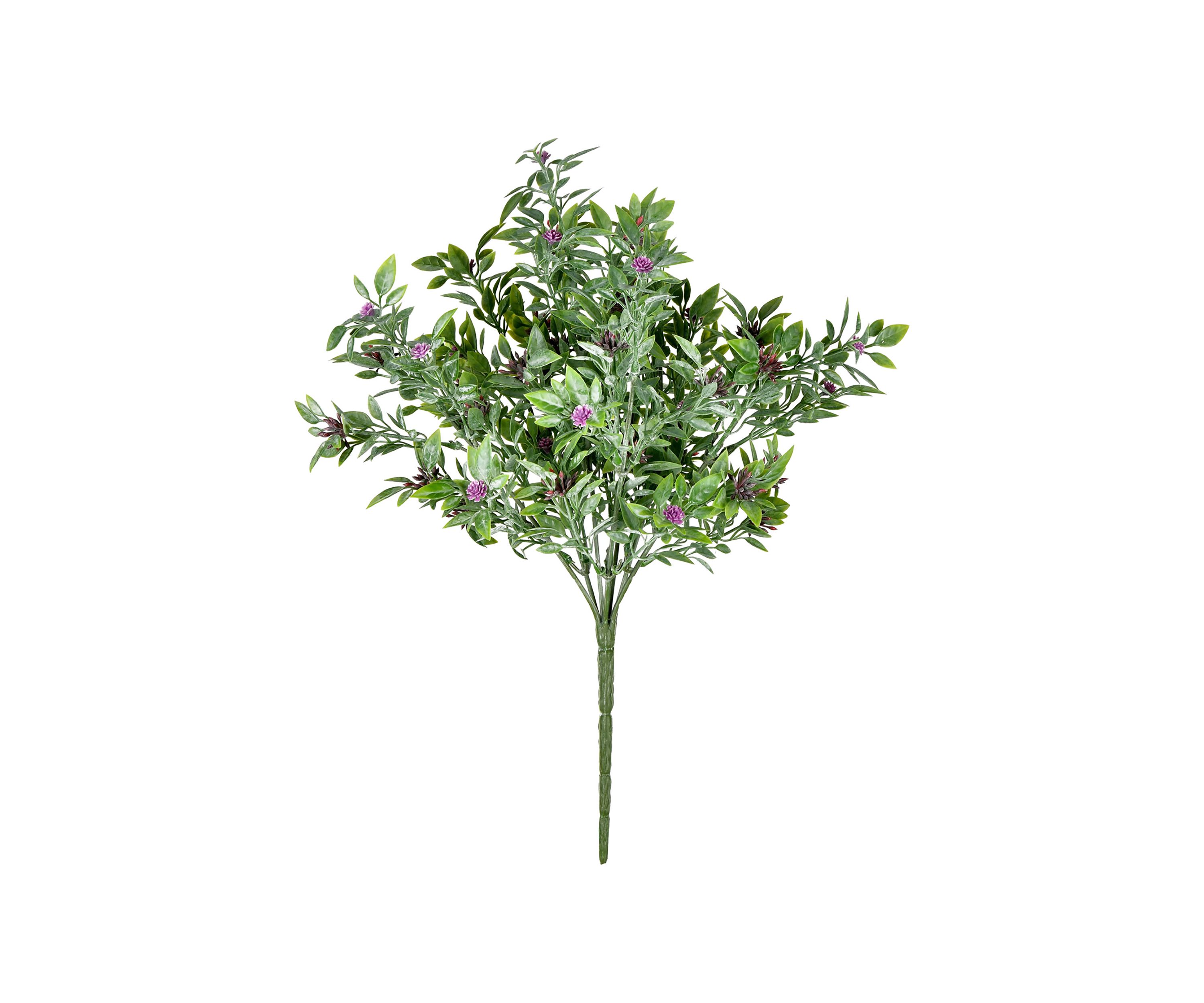 Purple Wildflower Bush