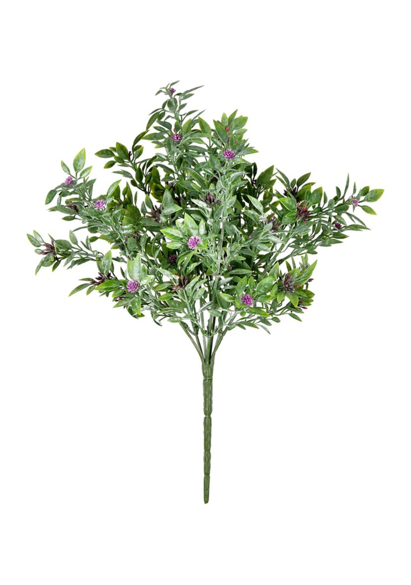 Purple Wildflower Bush