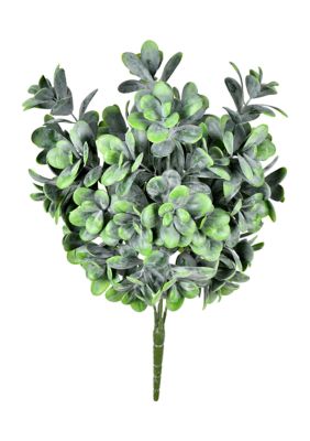 Vickerman Green Jade Bush