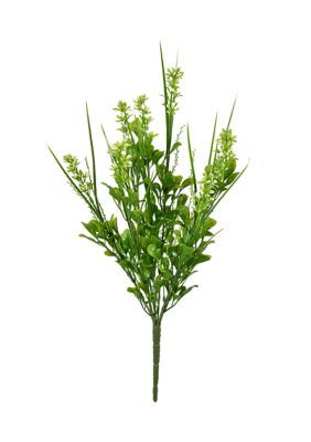 Vickerman Green Butterfly Bush