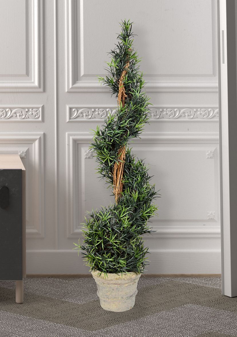Potted Green Rosemary Spiral Tree in Paper Pot