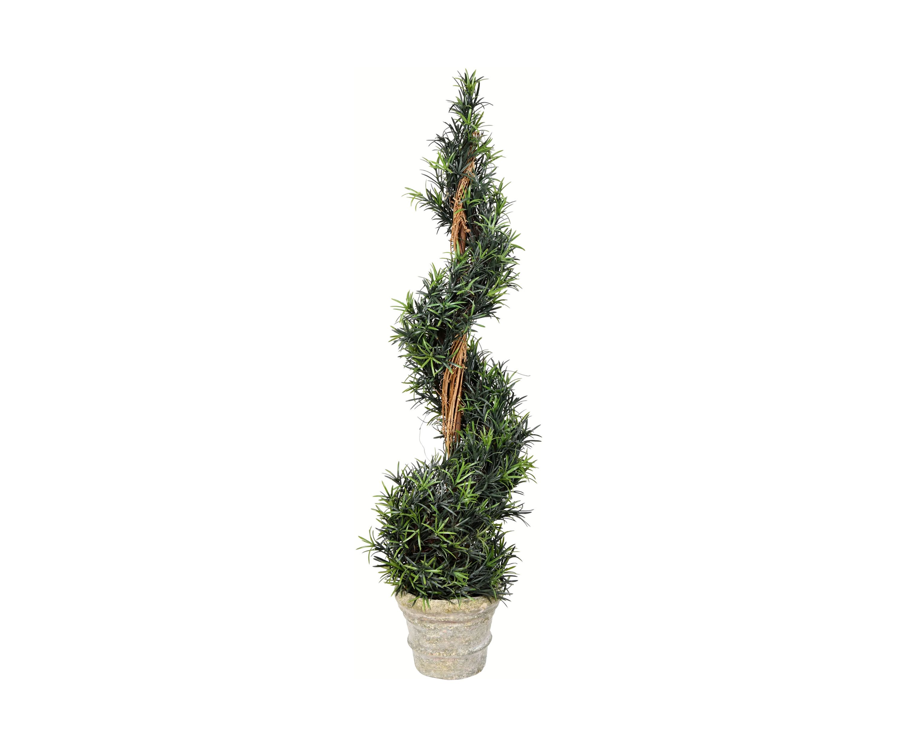 Potted Green Rosemary Spiral Tree in Paper Pot