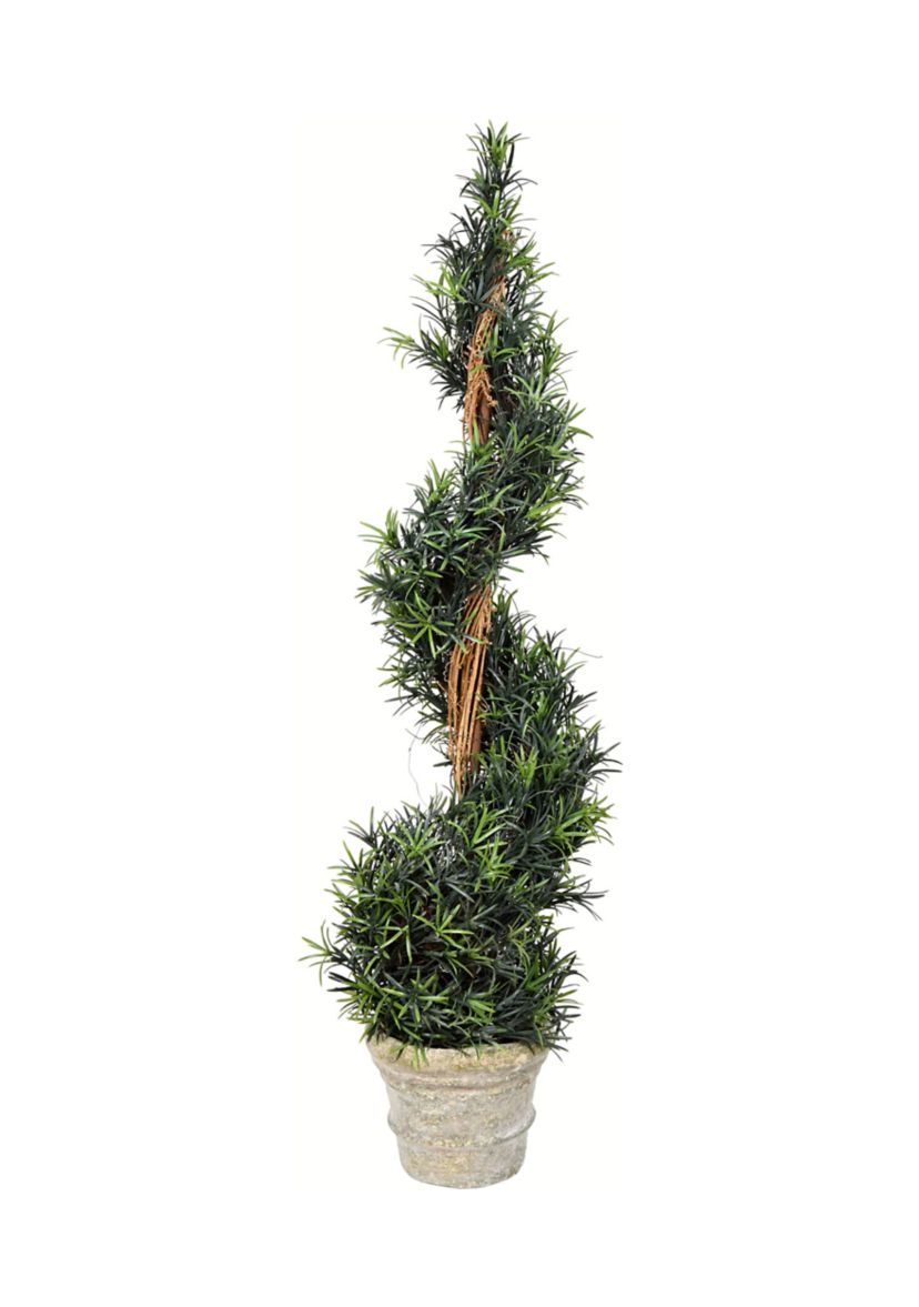 Potted Green Rosemary Spiral Tree in Paper Pot