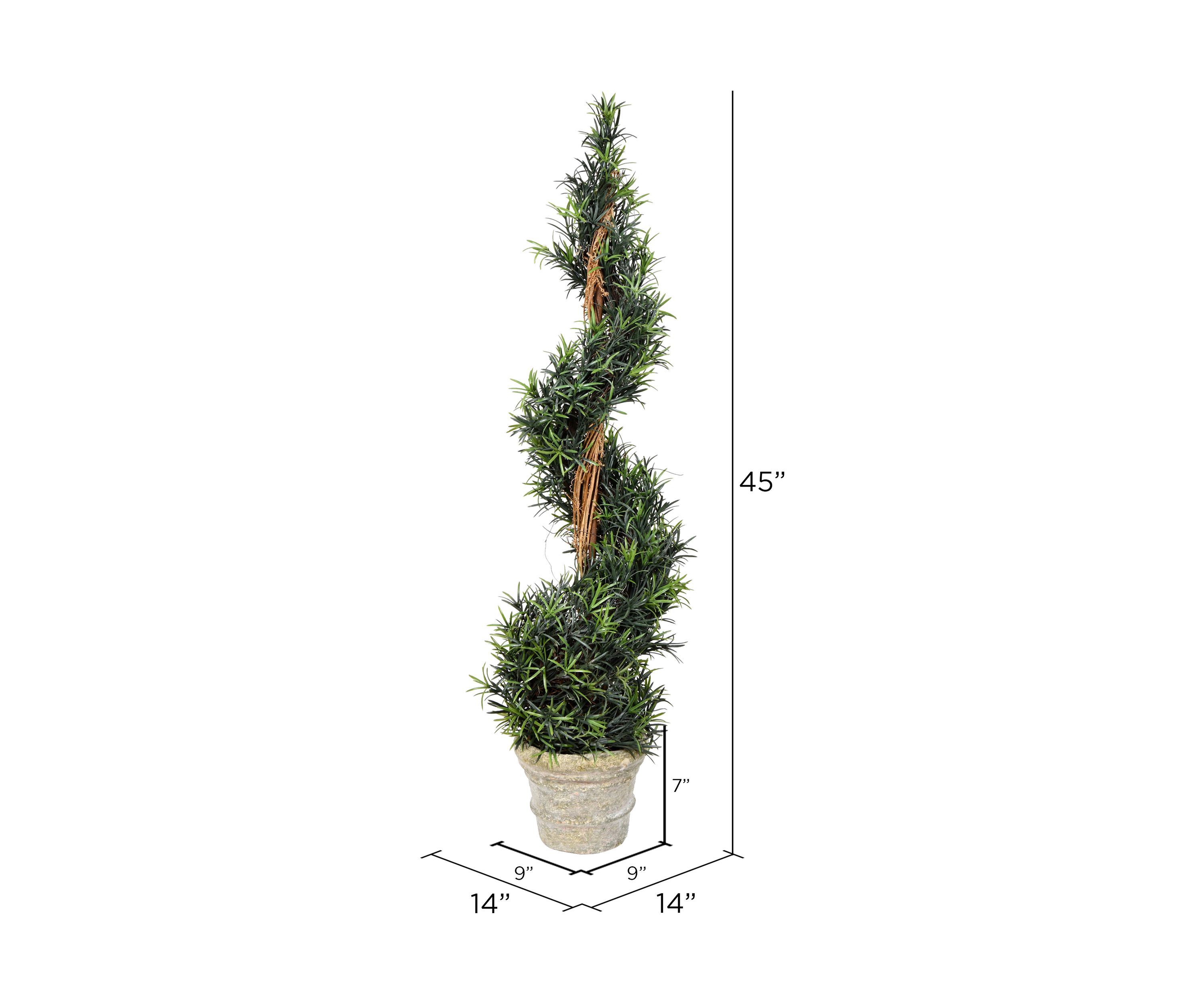 Potted Green Rosemary Spiral Tree in Paper Pot