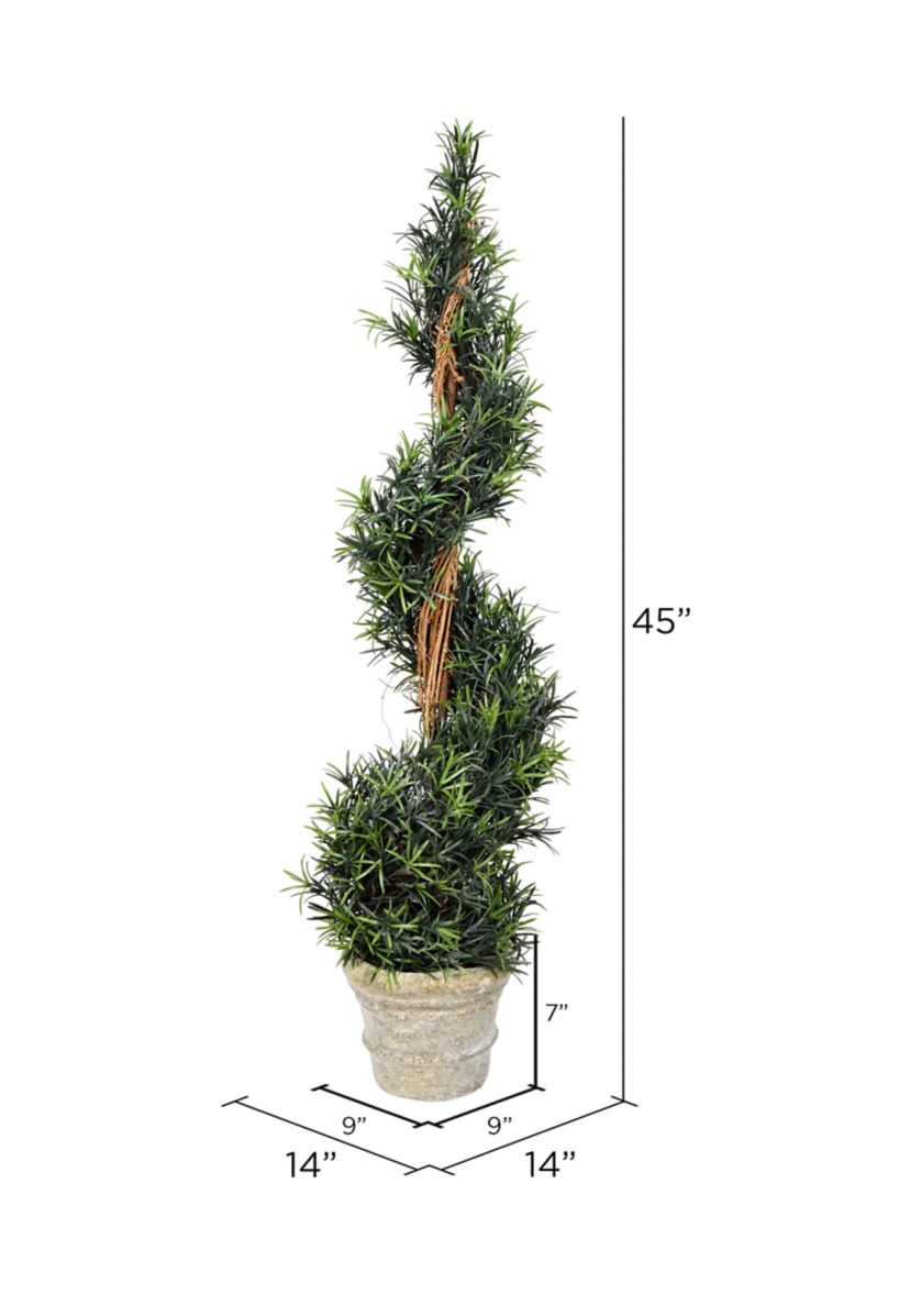 Potted Green Rosemary Spiral Tree in Paper Pot