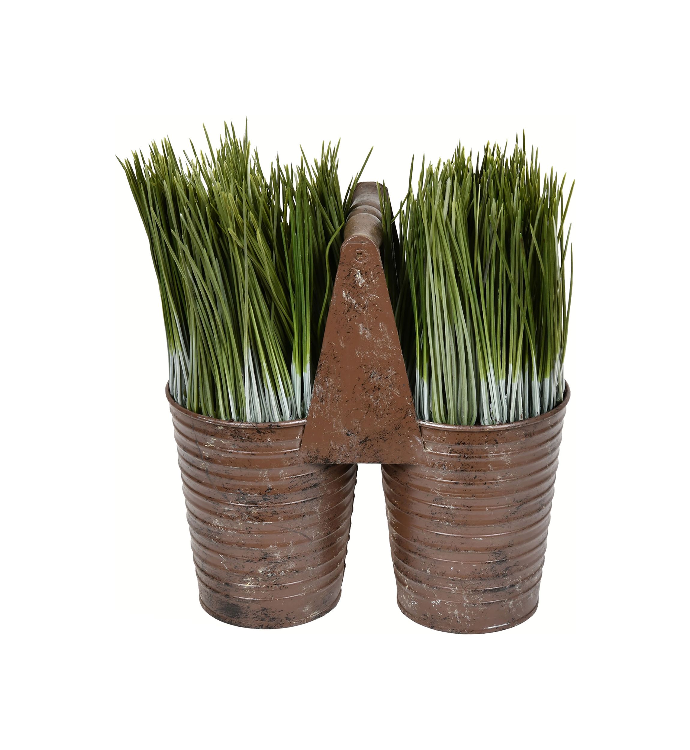 Potted Grass