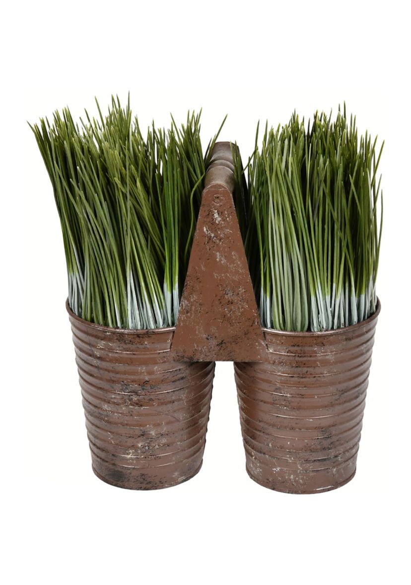 Potted Grass