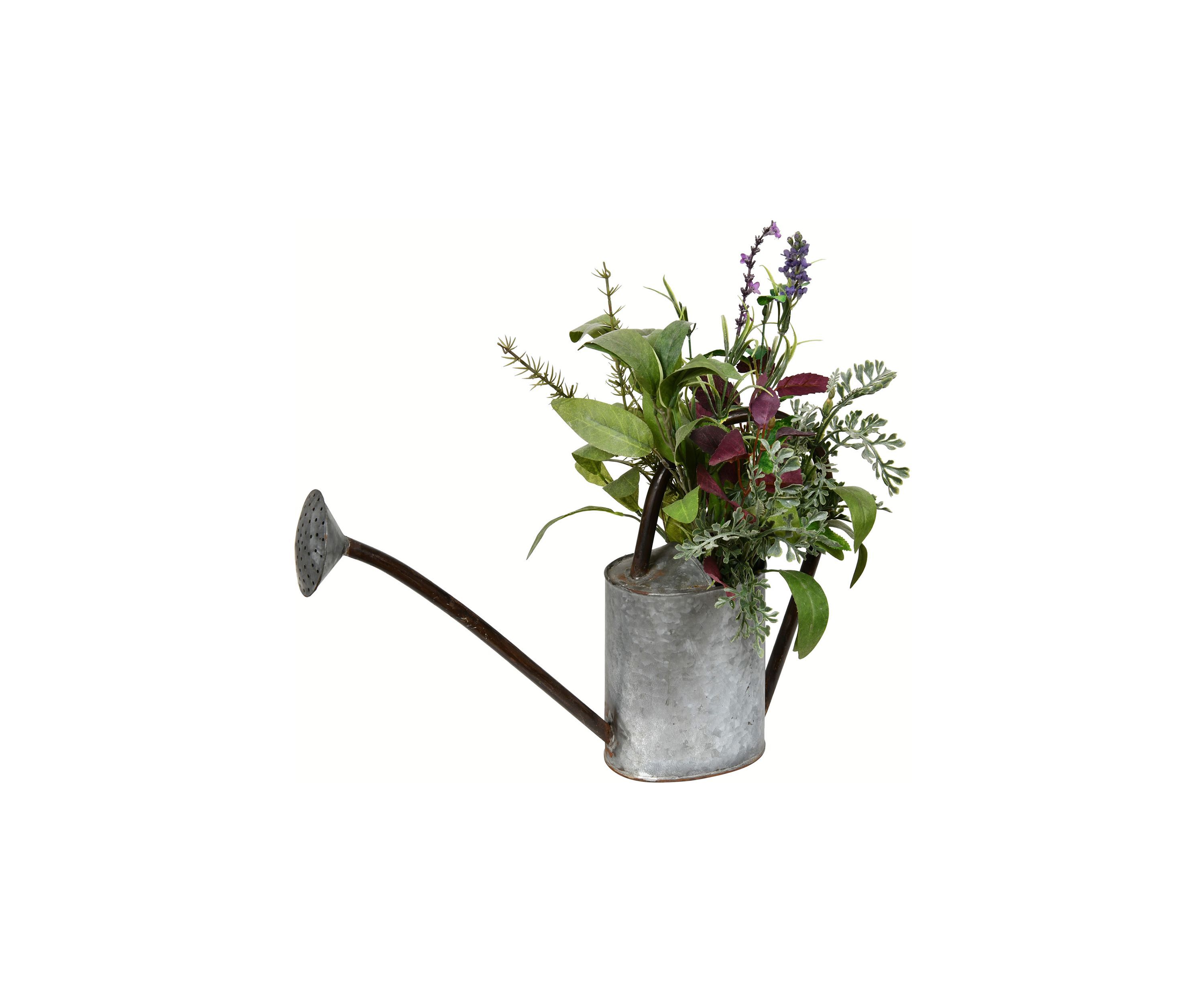 Potted Herb
