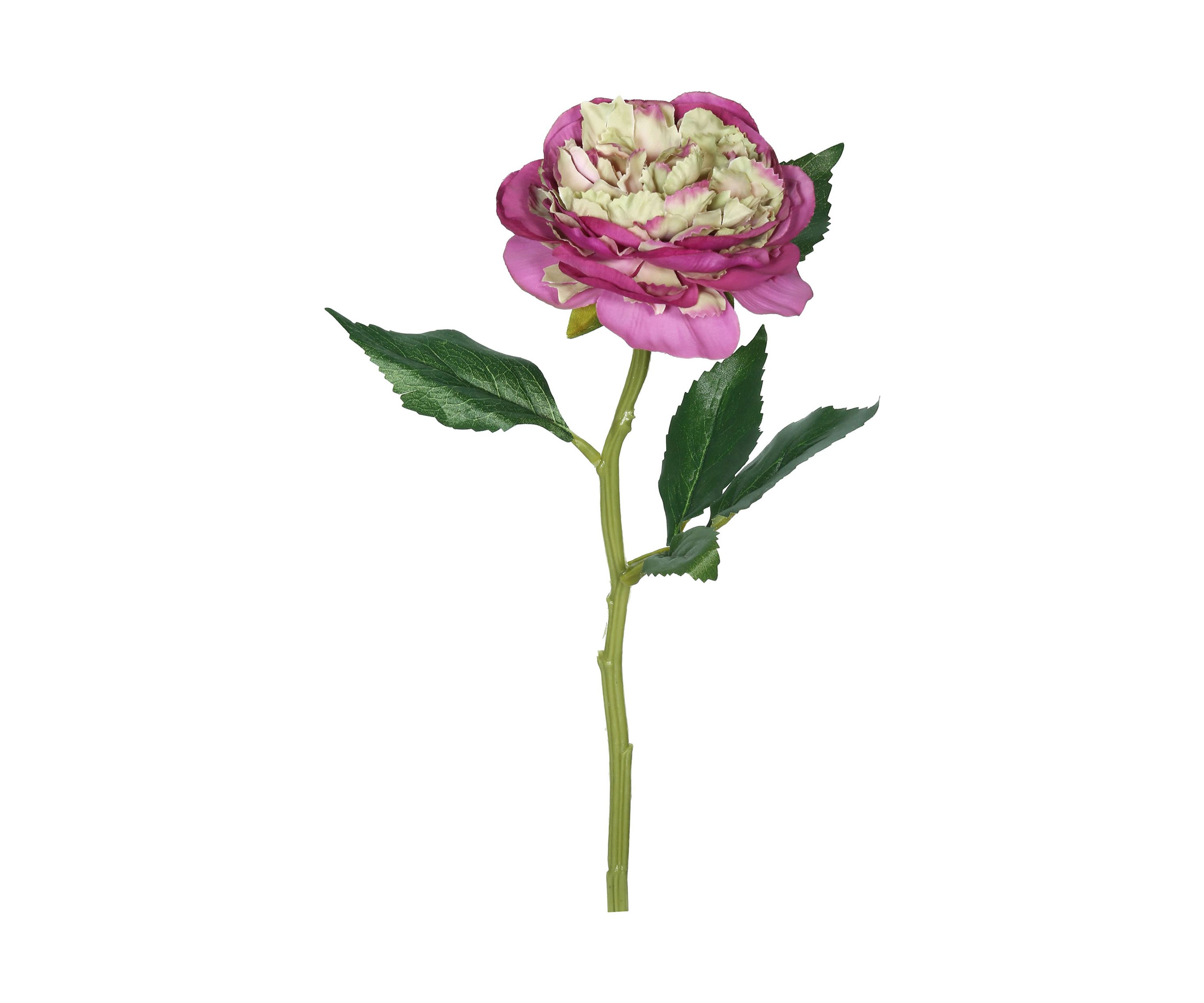 Purple Peony Rose Stem - Set of 6
