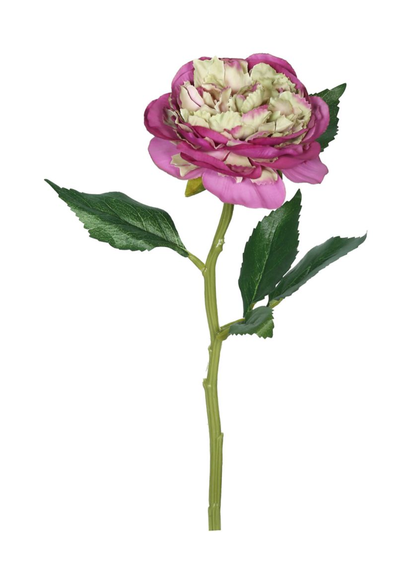 Purple Peony Rose Stem - Set of 6