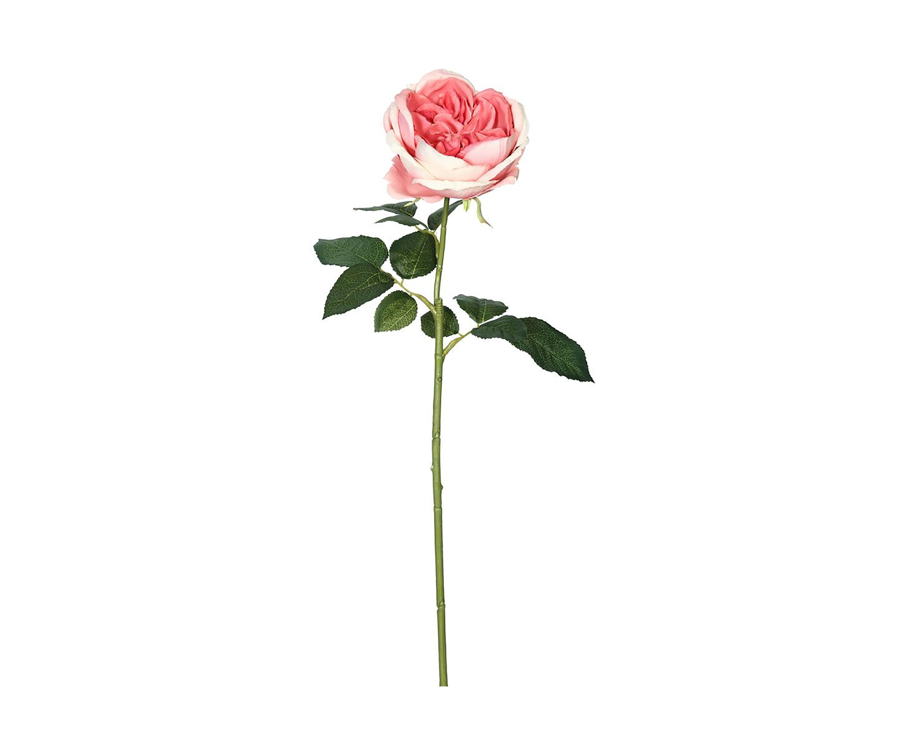 Artificial Open Rose Stem, 6 per Bag