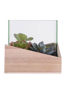 Vickerman Green Assorted Succulents in Wood