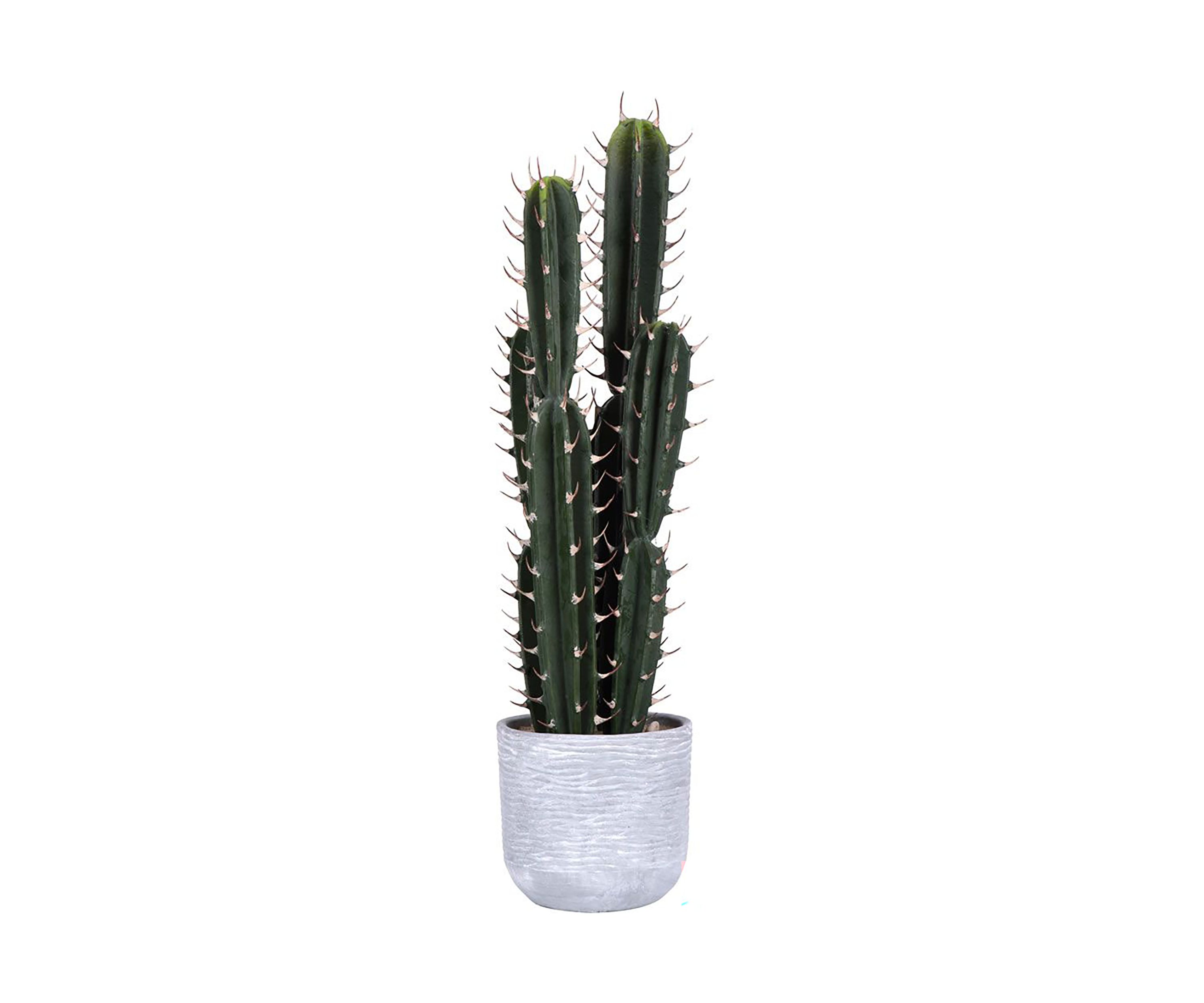 Artificial Cactus Plant.
