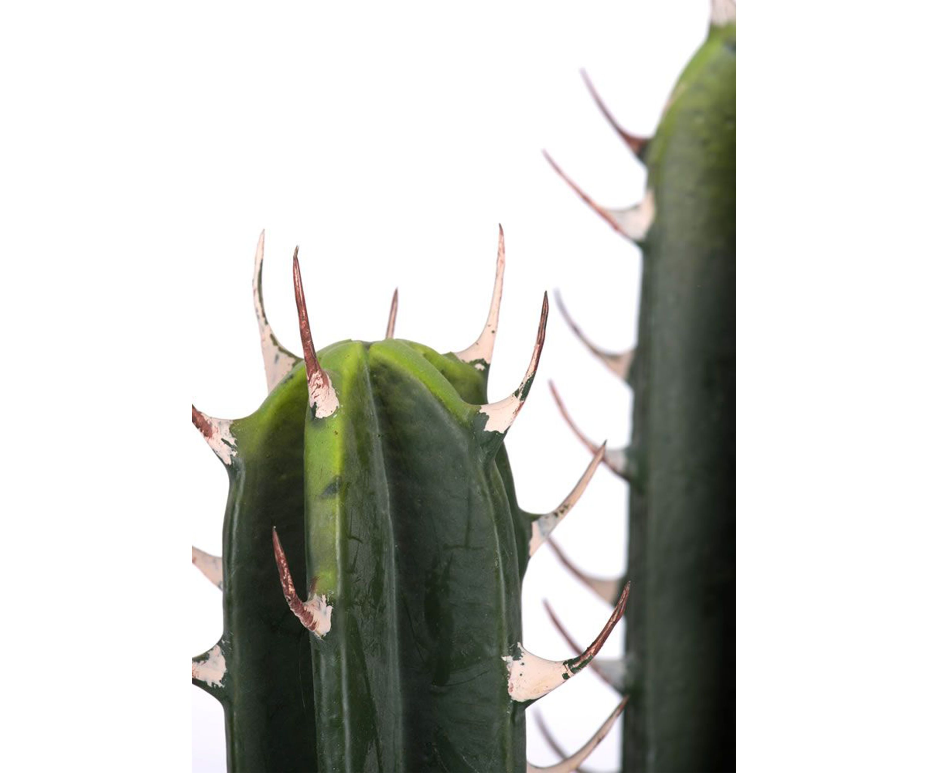 Artificial Cactus Plant.