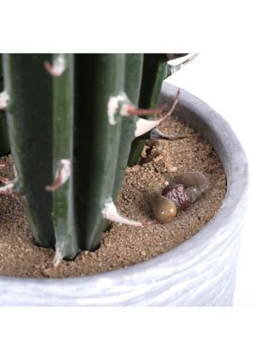 Artificial Cactus Plant.