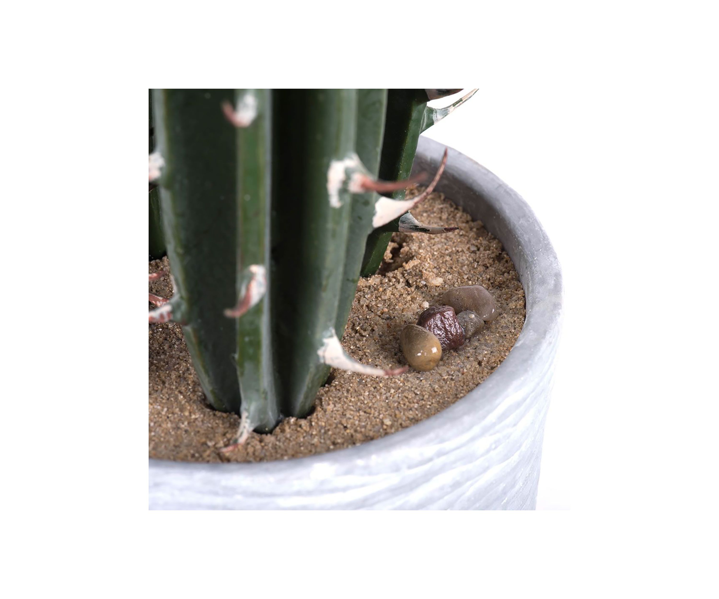 Artificial Cactus Plant.