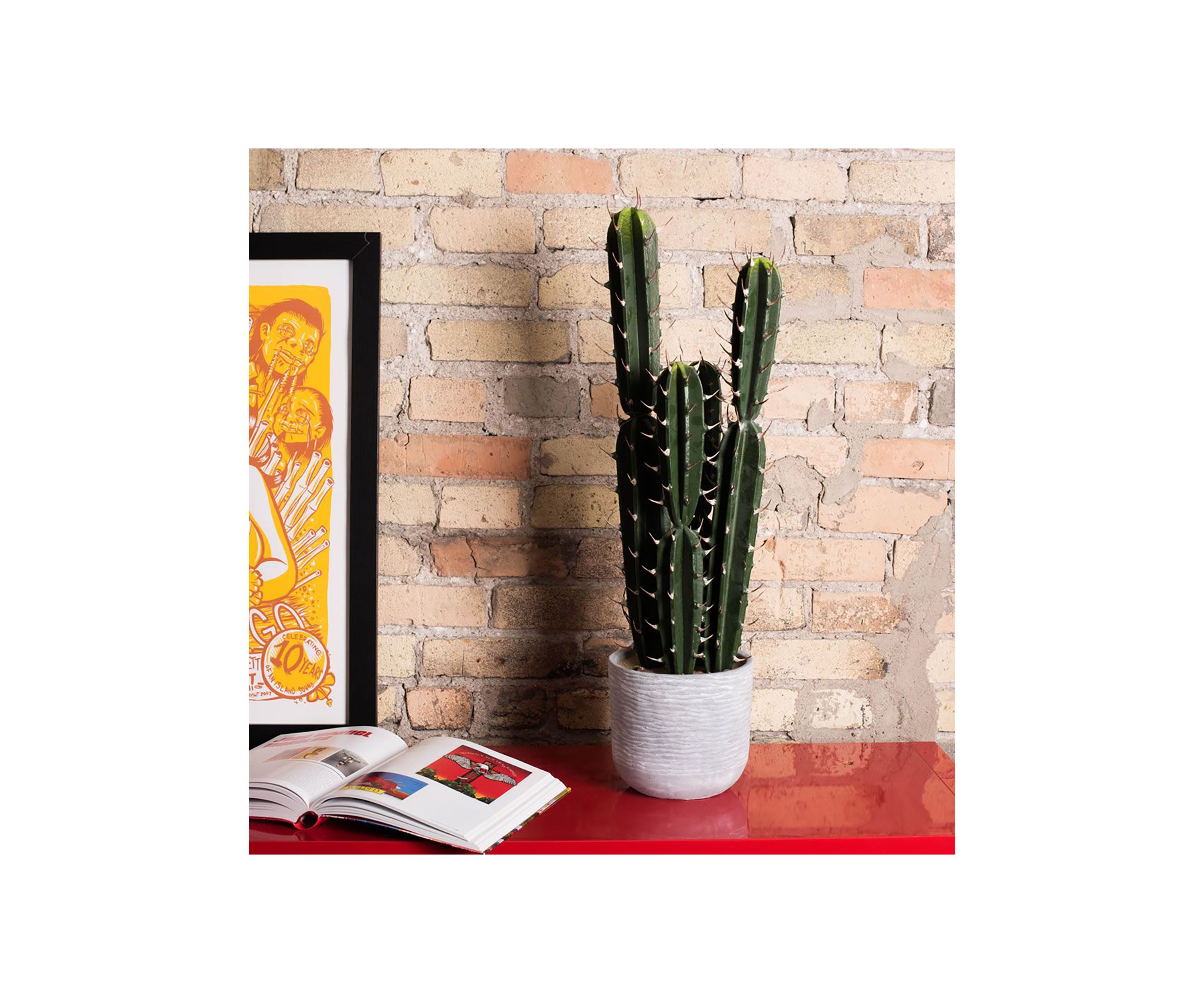 Artificial Cactus Plant.