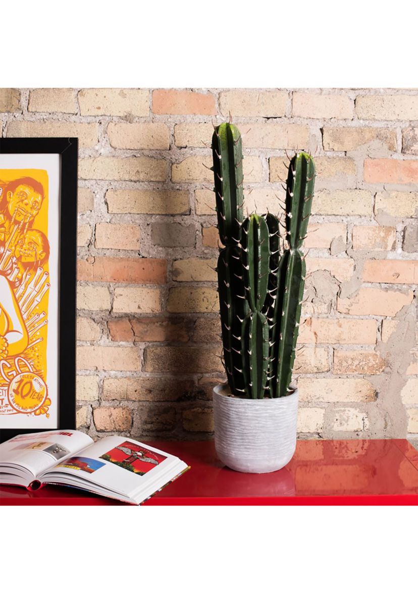 Artificial Cactus Plant.
