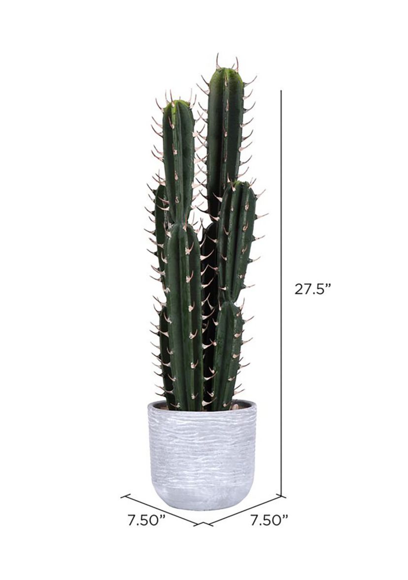 Artificial Cactus Plant.