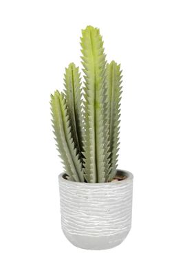 Vickerman Green Cactus Plant