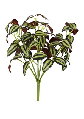 Vickerman Green Spiderwort Bush - Set of 3