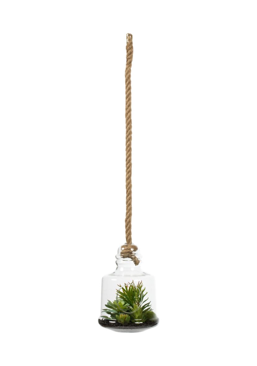 Green Assorted Succulents in Glass Jar