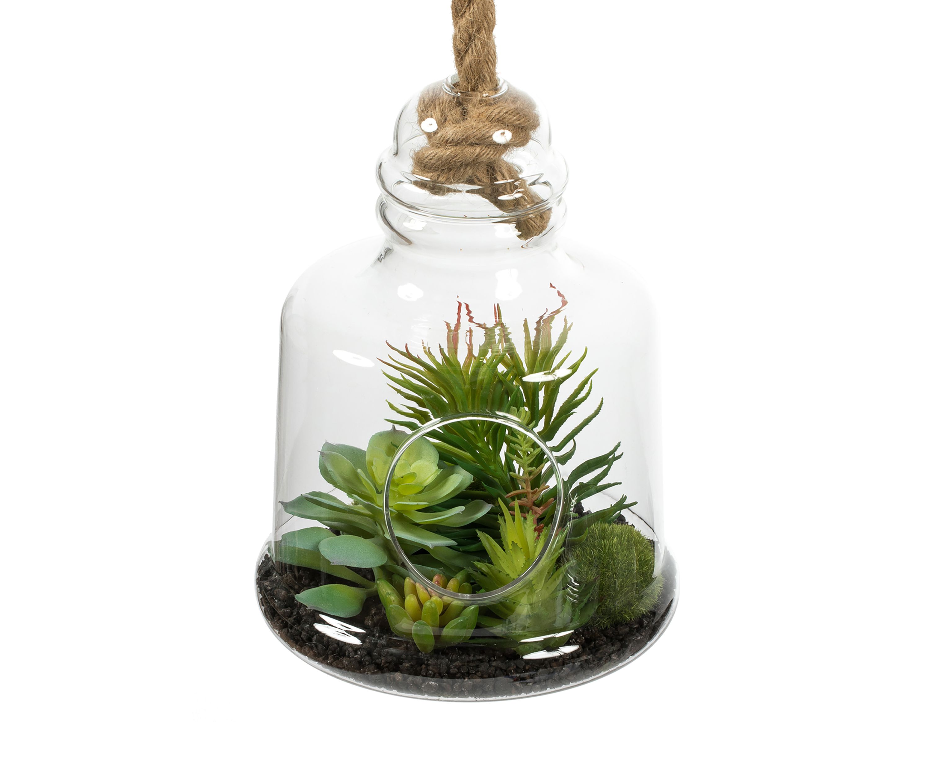 Green Assorted Succulents in Glass Jar