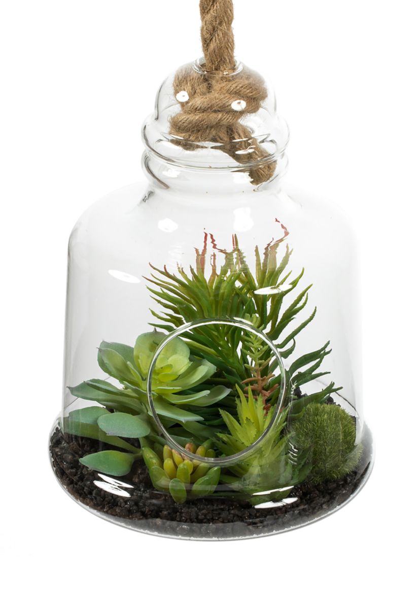 Green Assorted Succulents in Glass Jar