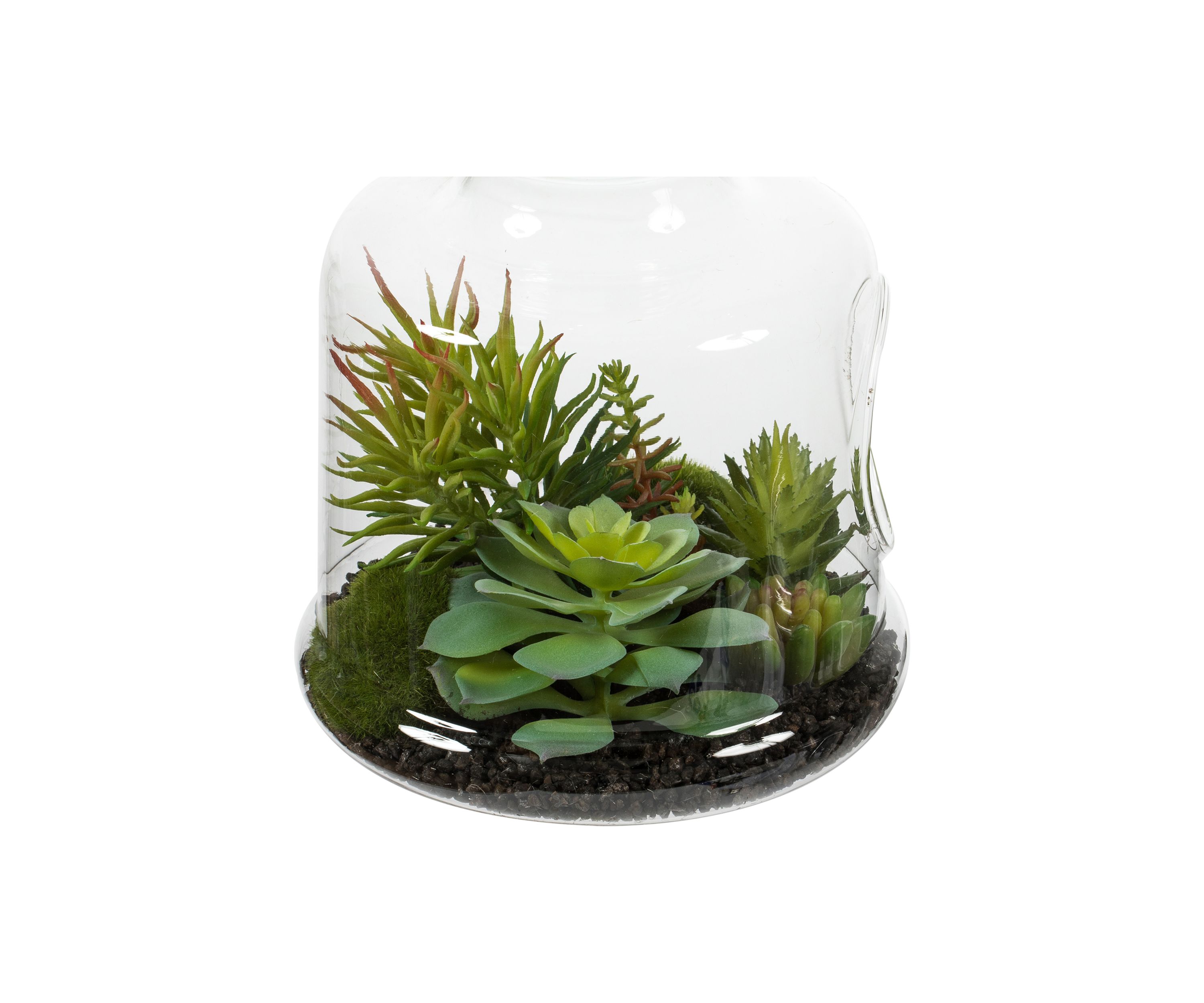 Green Assorted Succulents in Glass Jar