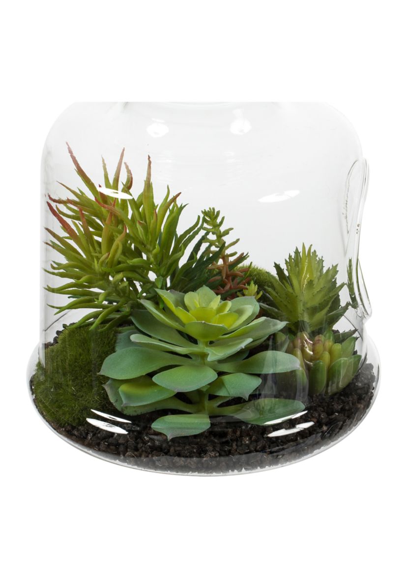 Green Assorted Succulents in Glass Jar