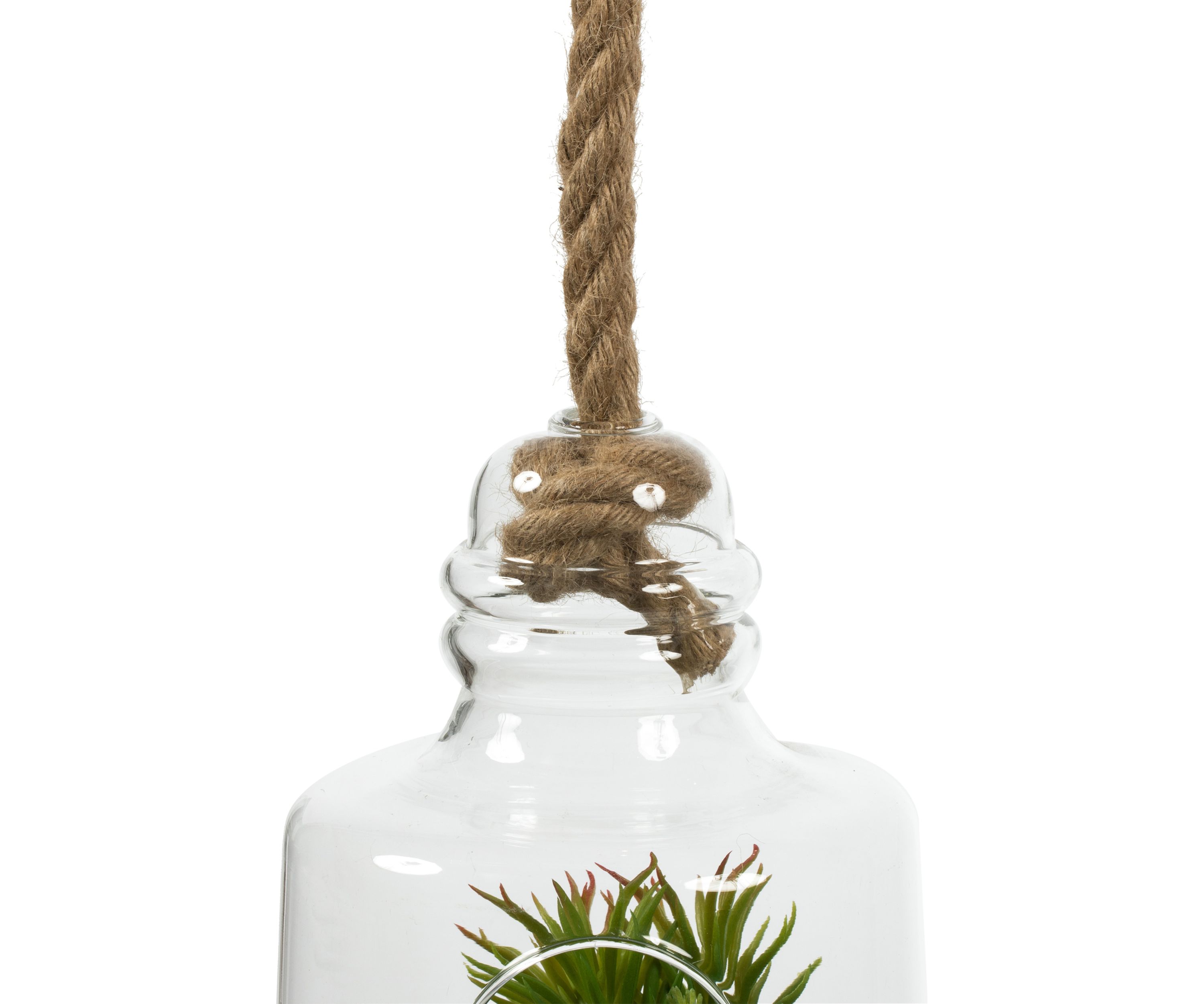 Green Assorted Succulents in Glass Jar
