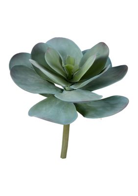 Vickerman Blue Succulent Stem
