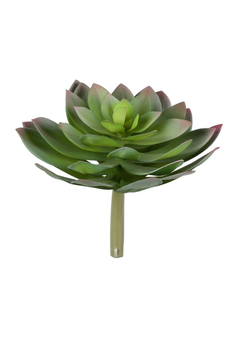 Blue Succulent Stem