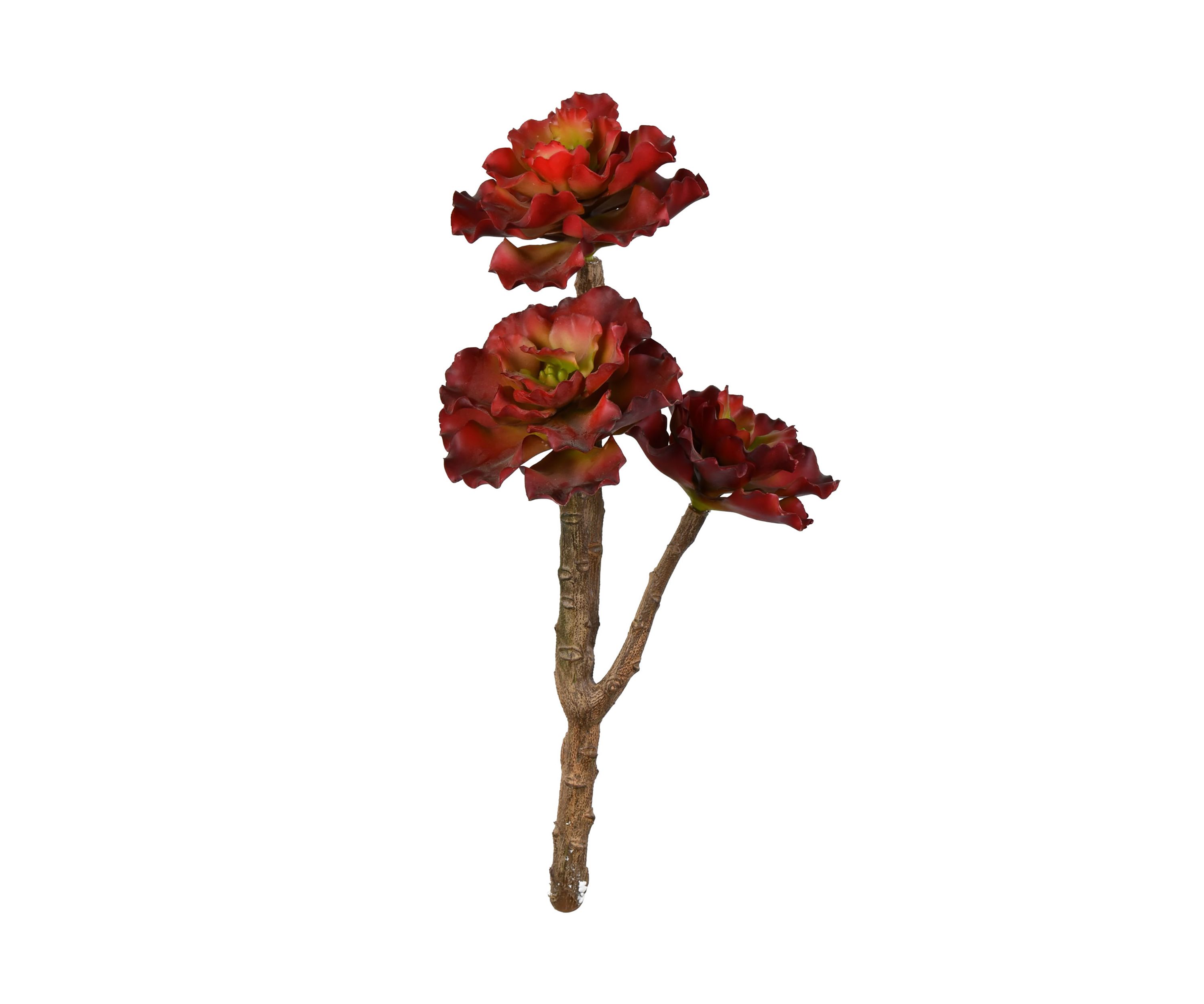 Red Succulent Spray