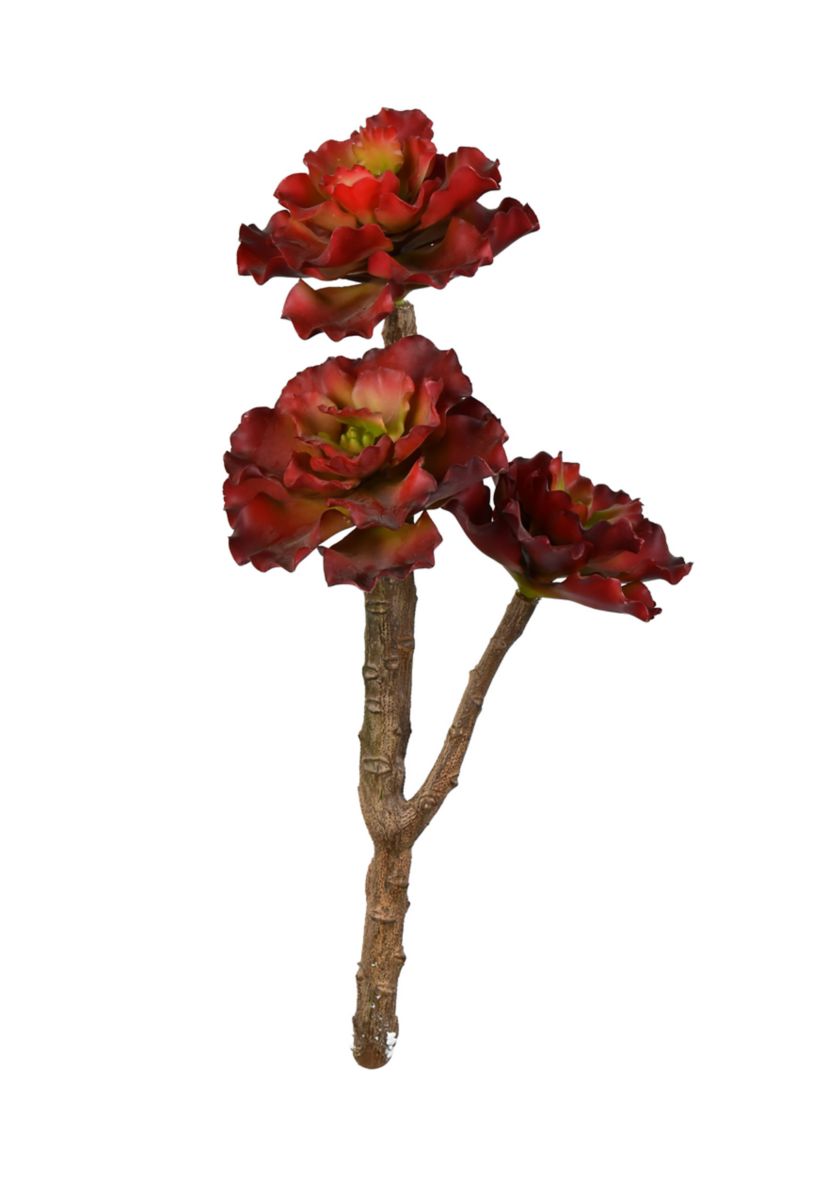 Red Succulent Spray