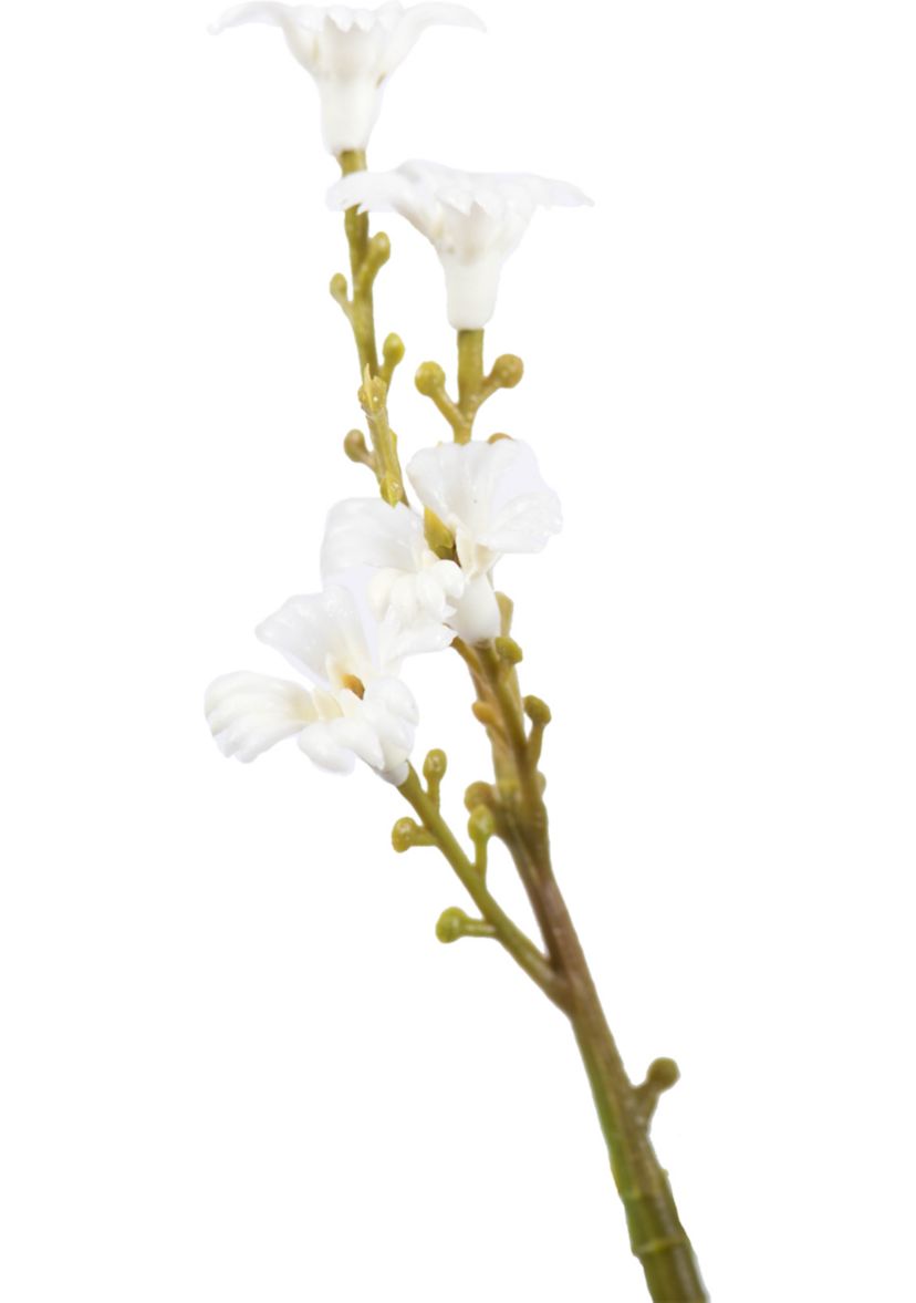 Green Mini Wild Flower Bush