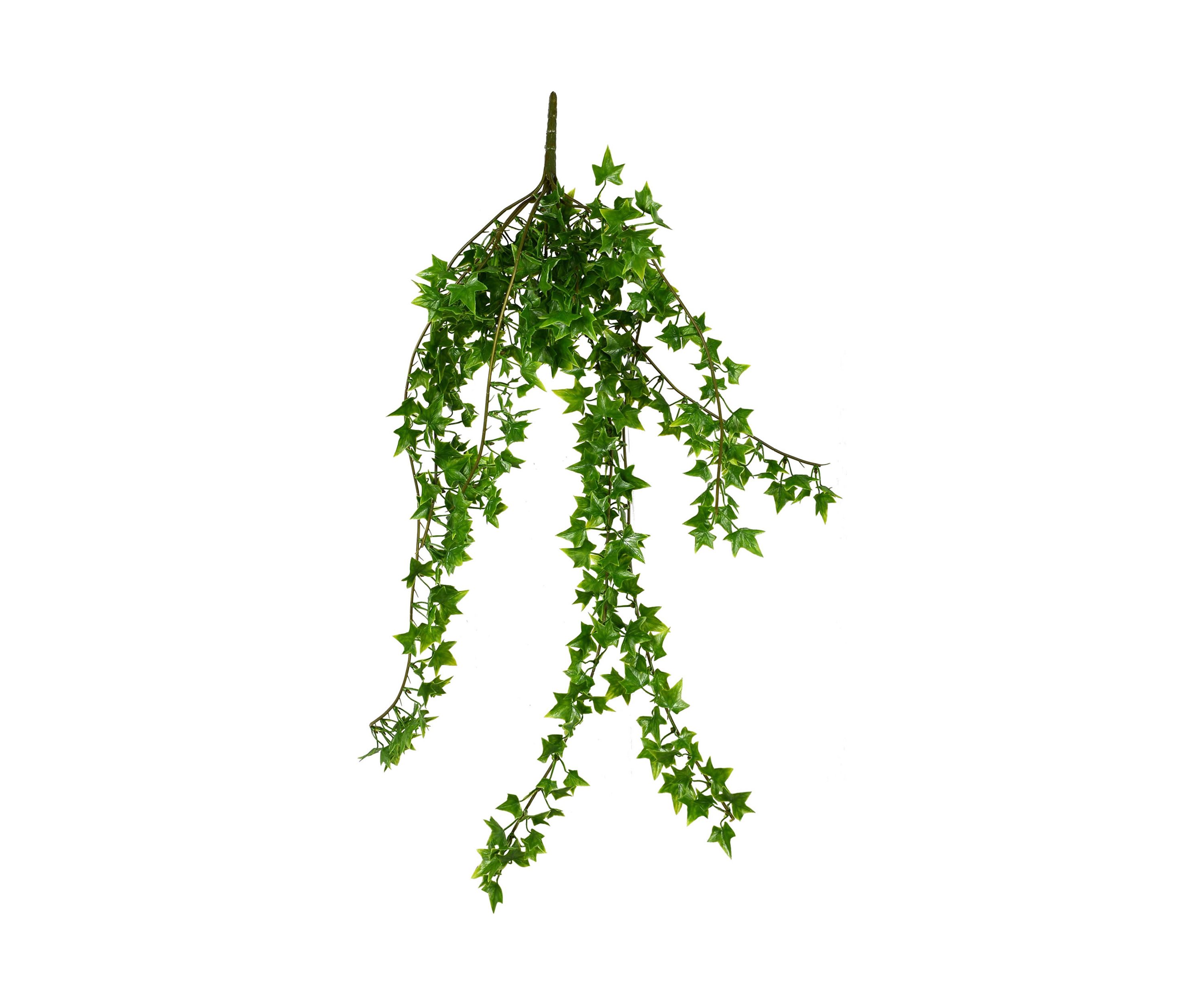 Green Ivy Hanging Bush - Set of 3