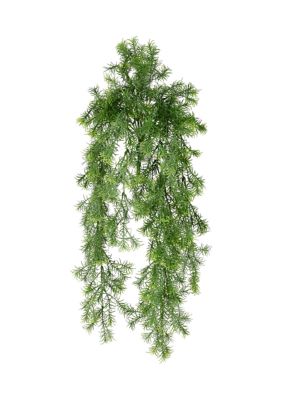 Vickerman Green Spring Grass Hanging Bush