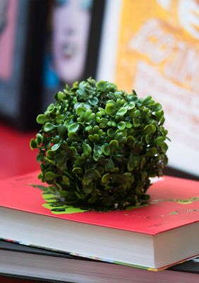 Vickerman Mini Button Leaf Ball UV - Set of 4, Green