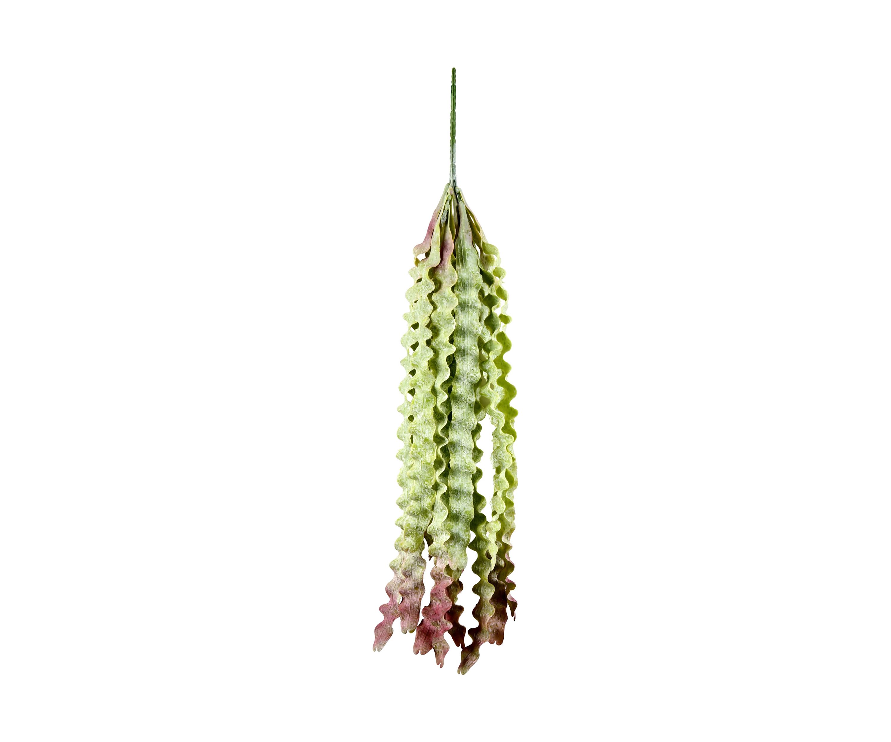 Green Sea Plant Pack of 2