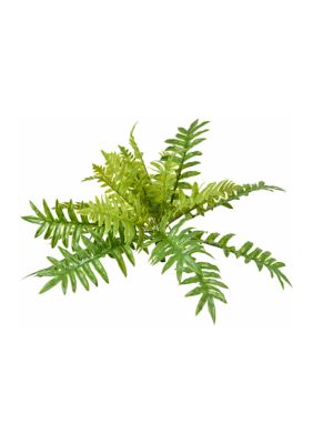 Vickerman Green Fern Bush