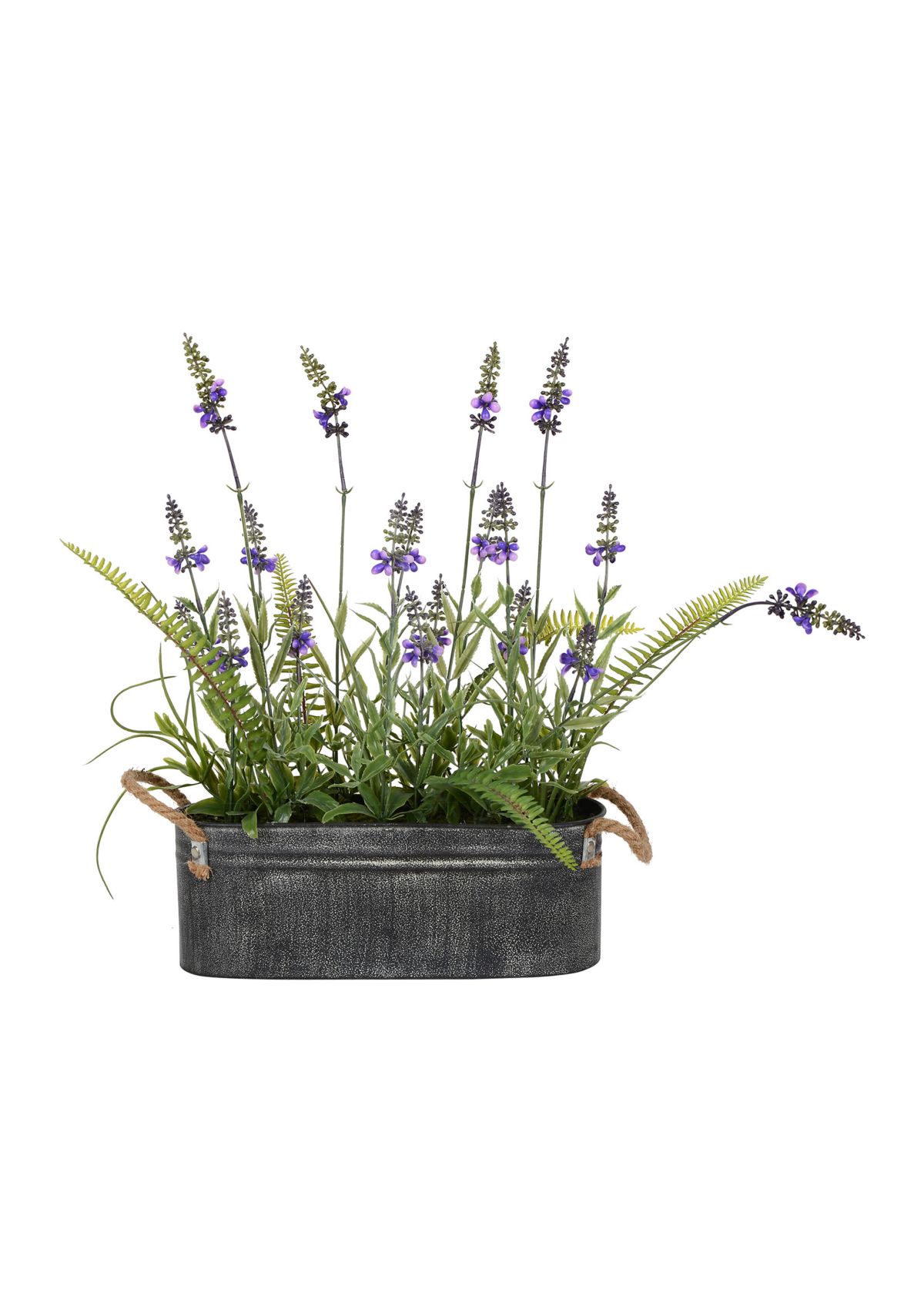 Lavender Flower Fern in Iron Pot