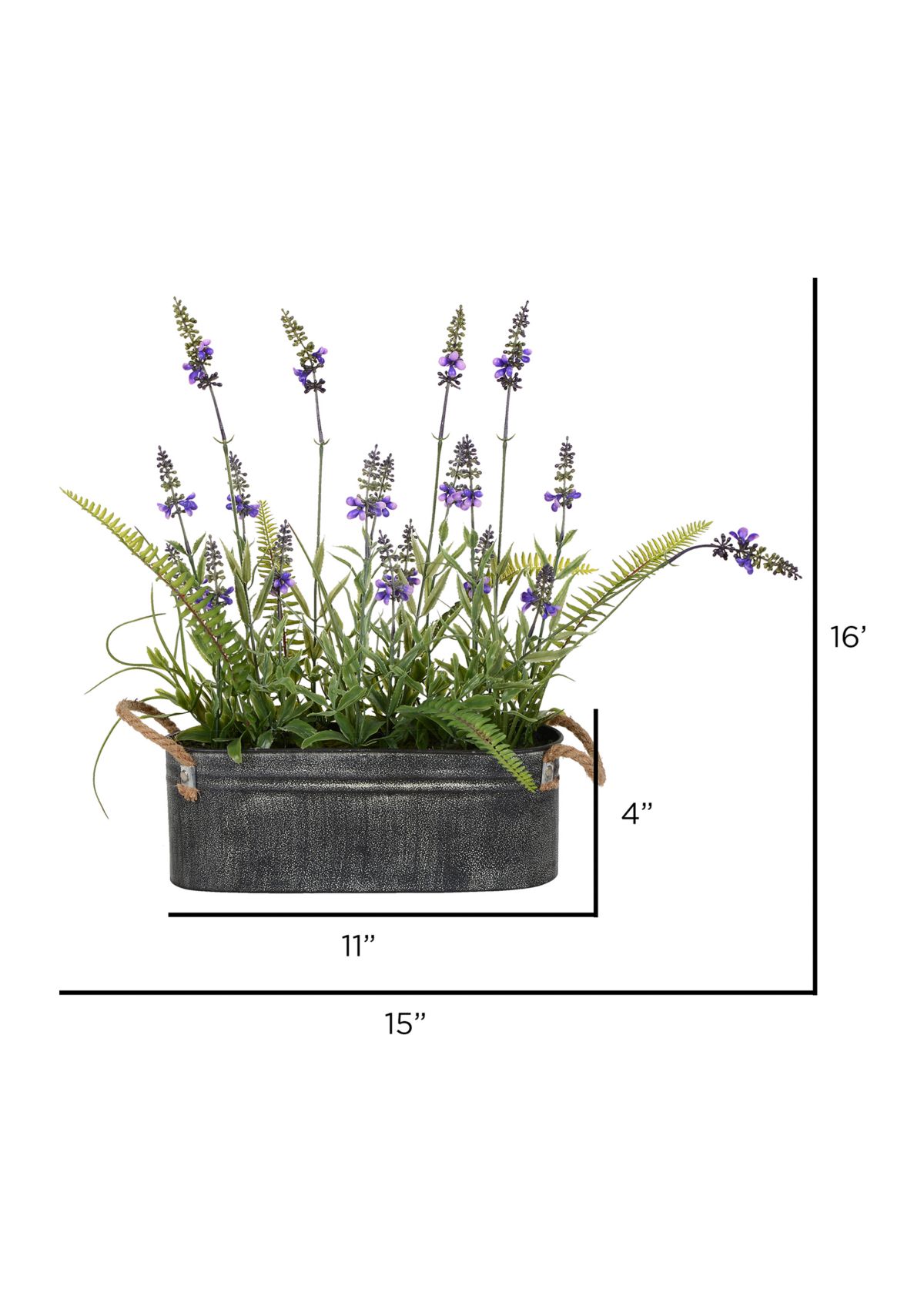 Lavender Flower Fern in Iron Pot