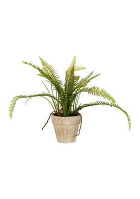 Vickerman Green Fern Bush