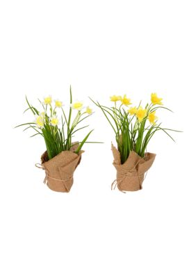 Vickerman Daffodil in Burlap Pot, Yellow